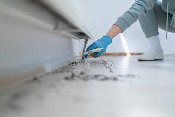 Best Local Pest Control Services  in Sharpsburg, PA